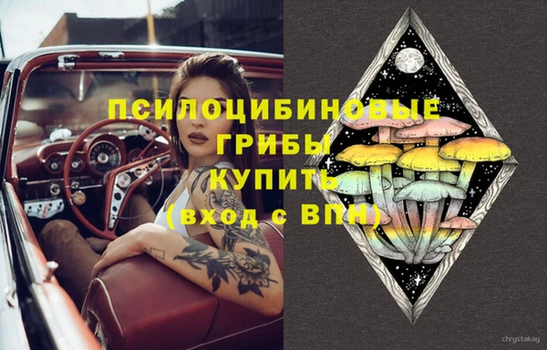 молекула духа Покровск