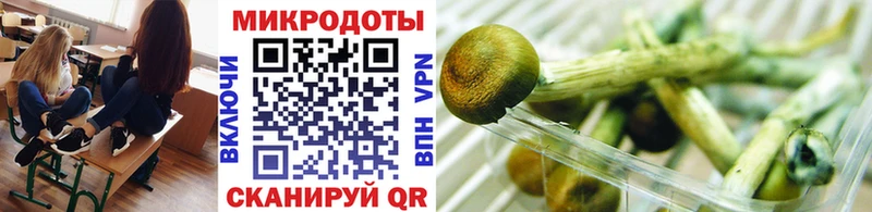 Псилоцибиновые грибы мухоморы  Купить где  Егорьевск 